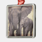 Afrika, Tanzania, Nationaal Park Tarangire. 2 Metalen Ornament (Links)