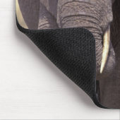 Afrika, Tanzania, Nationaal Park Tarangire. 2 Muismat (Hoek)