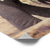 Afrika, Tanzania, Nationaal Park Tarangire. 2 Poster (Hoek)