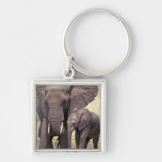 Afrika, Tanzania, Nationaal park Tarangire. 2 Sleutelhanger (Voorkant)