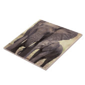 Afrika, Tanzania, Nationaal Park Tarangire. 2 Tegeltje (Zijkant)