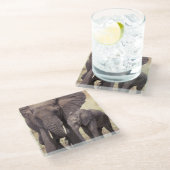 Afrika, Tanzania, Nationaal Park Tarangire Glazen Onderzetter (Schuin)