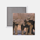 Afrika, Tanzania, Nationaal Park Tarangire. Magneet (Voorkant / Achterkant)