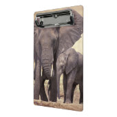 Afrika, Tanzania, Nationaal park Tarangire Mini Klembord (Angled2)