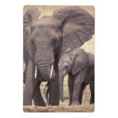 Afrika, Tanzania, Nationaal park Tarangire Mini Klembord (Achterkant)