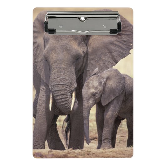 Afrika, Tanzania, Nationaal park Tarangire Mini Klembord (Voorkant)