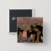 Afrika, Tanzania, Nationaal park Tarangire. Vierkante Button 5,1 Cm (Voorkant /achterkant)