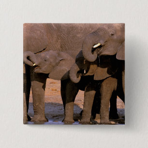 Afrika, Tanzania, Nationaal Park Tarangire. Vierkante Button 5,1 Cm