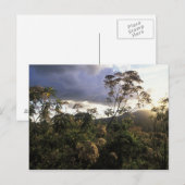 Afrika, Tanzania, Ngorongoro-beschermingsgebied, Briefkaart (Voorkant / Achterkant)