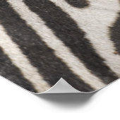 "Afrika, Tanzania, Ngorongoro-beschermingsgebied" Poster (Hoek)