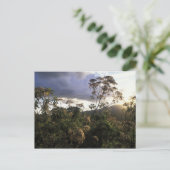Afrika, Tanzania, Ngorongoro Conservation Area, Briefkaart (Staand voorkant)