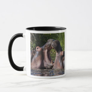 Afrika. Tanzania. Nijlpaarden die sparren Mok
