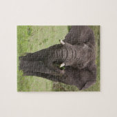 Afrika Tanzania olifant bij Ngorongoro krater Legpuzzel (Horizontaal)