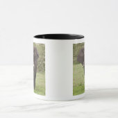 Afrika Tanzania olifant bij Ngorongoro krater Mok (Midden)