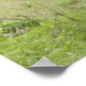 Afrika Tanzania olifant bij Ngorongoro krater Poster (Hoek)