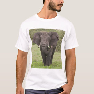 Afrika Tanzania olifant bij Ngorongoro krater T-shirt