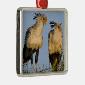 Afrika. Tanzania. Secretaris Vogels bij Ndutu Metalen Ornament (Rechts)