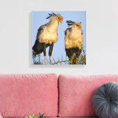 Afrika. Tanzania. Secretarisvogels bij Ndutu Canvas Afdruk (Insitu (Woonkamer))