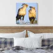 Afrika. Tanzania. Secretarisvogels bij Ndutu Canvas Afdruk (Insitu (Slaapkamer))