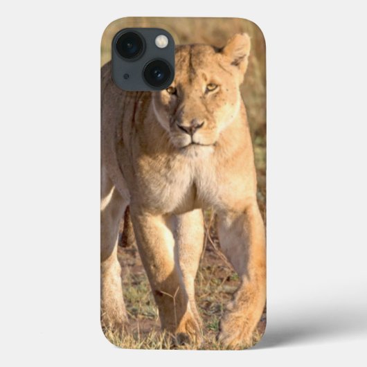 Afrika, Tanzania, Serengeti. Leeuw en Leeuwin Case-Mate iPhone Case (Achterkant)