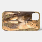 Afrika, Tanzania, Serengeti. Leeuw en Leeuwin Case-Mate iPhone Case (Achterkant (horizontaal))