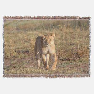 Afrika, Tanzania, Serengeti. Leeuw en Leeuwin Deken