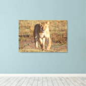 Afrika, Tanzania, Serengeti. leeuwen en leeuwen Canvas Afdruk (Insitu (Houten vloer))