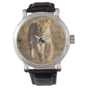 Afrika, Tanzania, Serengeti. leeuwen en leeuwen Horloge