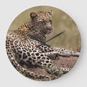 Afrika, Tanzania, Serengeti. Luipaard Grote Klok