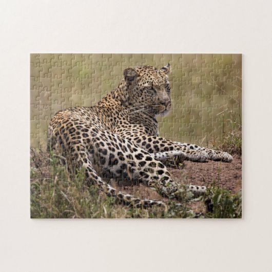 Afrika, Tanzania, Serengeti. Luipaard Legpuzzel (Horizontaal)