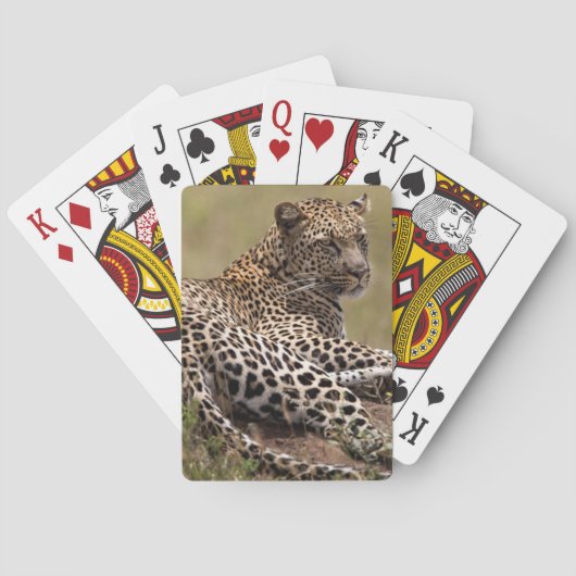 Afrika, Tanzania, Serengeti. Luipaard Speelkaarten (Achterkant)