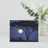 Afrika, Tanzania, Tarangire. Acacia-boom in Briefkaart (Staand voorkant)