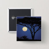 Afrika, Tanzania, Tarangire. Acacia-boom in Vierkante Button 5,1 Cm (Voorkant /achterkant)