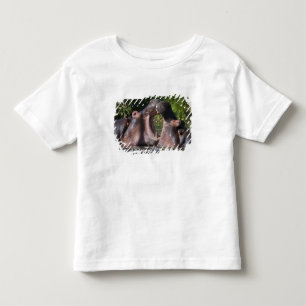 Afrika. Tanzania. Vechtende nijlpaarden Kinder Shirts