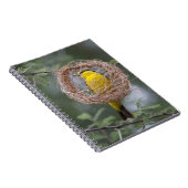 Afrika. Tanzania. Vrouw Black-Necked Weaver Notitieboek (Rechterzijde)