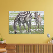 Afrika. Tanzania. Zebra moeder en veulen Canvas Afdruk (Insitu (Woonkamer))