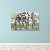 Afrika. Tanzania. Zebra moeder en veulen Canvas Afdruk (Insitu (Houten vloer))