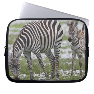 Afrika. Tanzania. Zebra moeder en veulen Laptop Sleeve