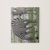 Afrika. Tanzania. Zebra moeder en veulen Legpuzzel (Verticaal)