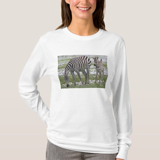 Afrika. Tanzania. Zebra moeder en veulen T-shirt (Voorkant)