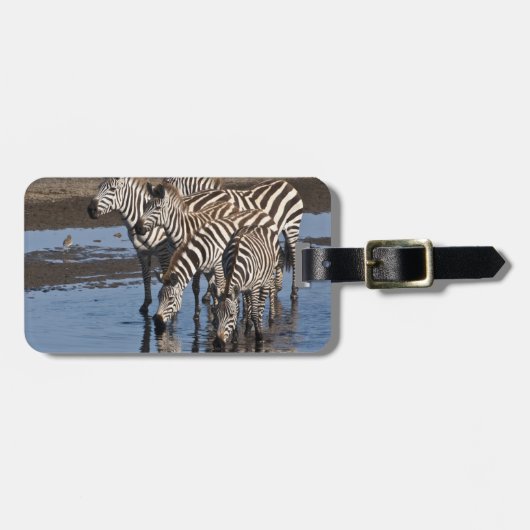 Afrika. Tanzania. Zebras drinken bij Ndutu Bagagelabel (Voorkant horizontaal)