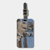 Afrika. Tanzania. Zebras drinken bij Ndutu Bagagelabel (Voorkant verticaal)