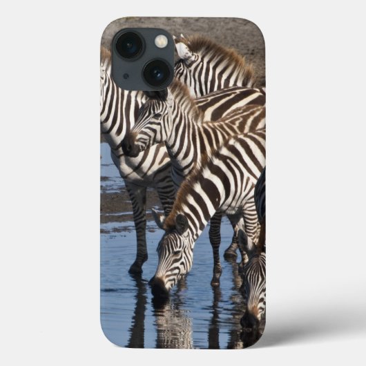 Afrika. Tanzania. Zebras drinkend bij Ndutu Case-Mate iPhone Case (Achterkant)