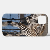 Afrika. Tanzania. Zebras drinkend bij Ndutu Case-Mate iPhone Case (Achterkant (horizontaal))