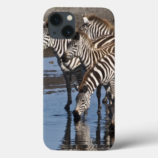 Afrika. Tanzania. Zebras drinkend bij Ndutu Case-Mate iPhone Case (Achterkant)