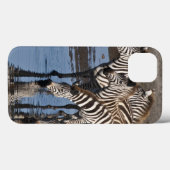 Afrika. Tanzania. Zebras drinkend bij Ndutu Case-Mate iPhone Case (Achterkant (horizontaal))