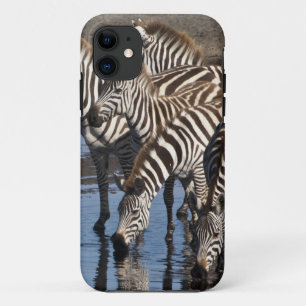 Afrika. Tanzania. Zebras drinkend bij Ndutu Case-Mate iPhone Case