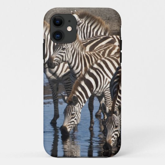 Afrika. Tanzania. Zebras drinkend bij Ndutu Case-Mate iPhone Case (Achterkant)