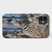 Afrika. Tanzania. Zebras drinkend bij Ndutu Case-Mate iPhone Case (Achterkant (horizontaal))