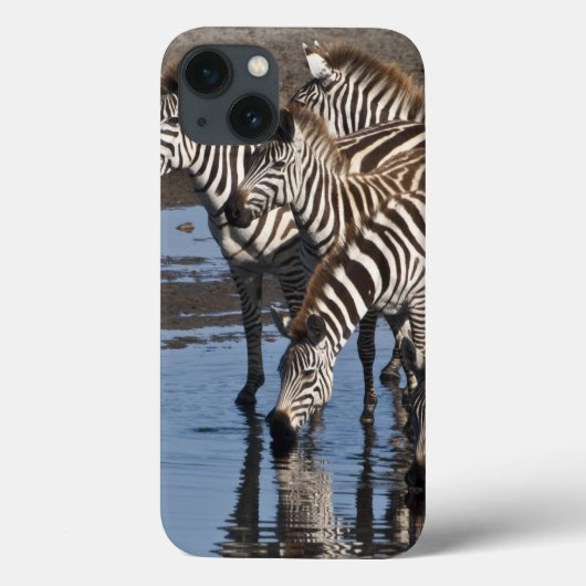 Afrika. Tanzania. Zebras drinkend bij Ndutu Case-Mate iPhone Case (Achterkant)